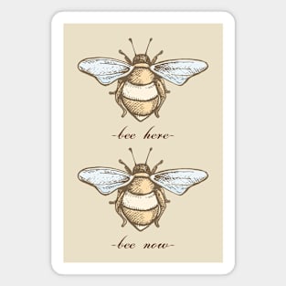 Bee Here Bee Now Magnet